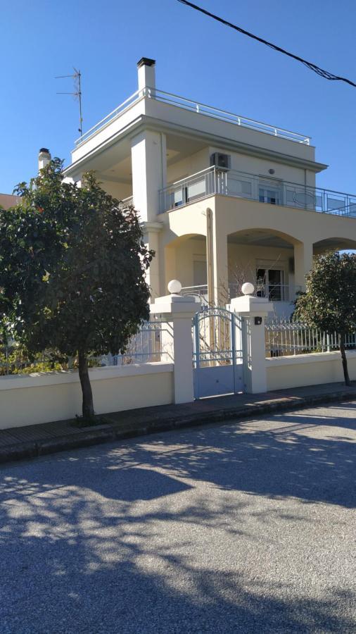 Dora'S Home With Garden Βόλος Εξωτερικό φωτογραφία