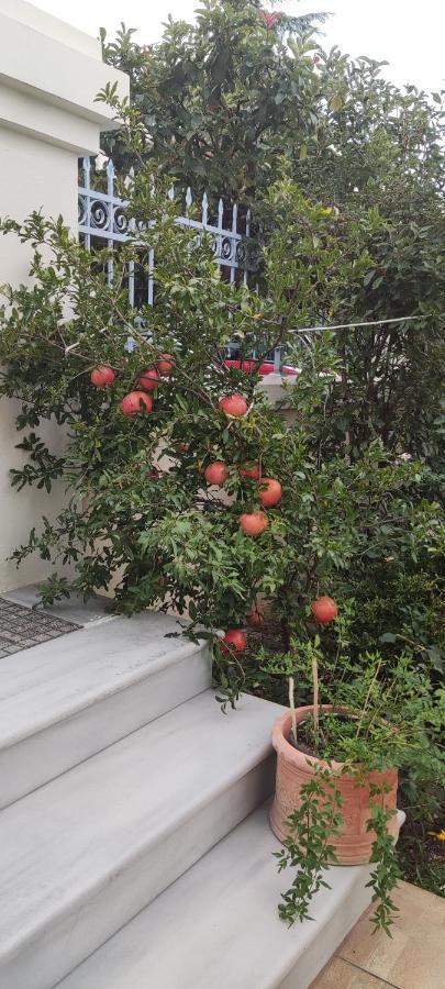 Dora'S Home With Garden Βόλος Εξωτερικό φωτογραφία
