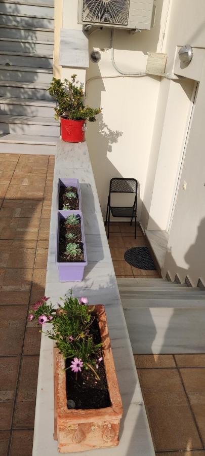 Dora'S Home With Garden Βόλος Εξωτερικό φωτογραφία