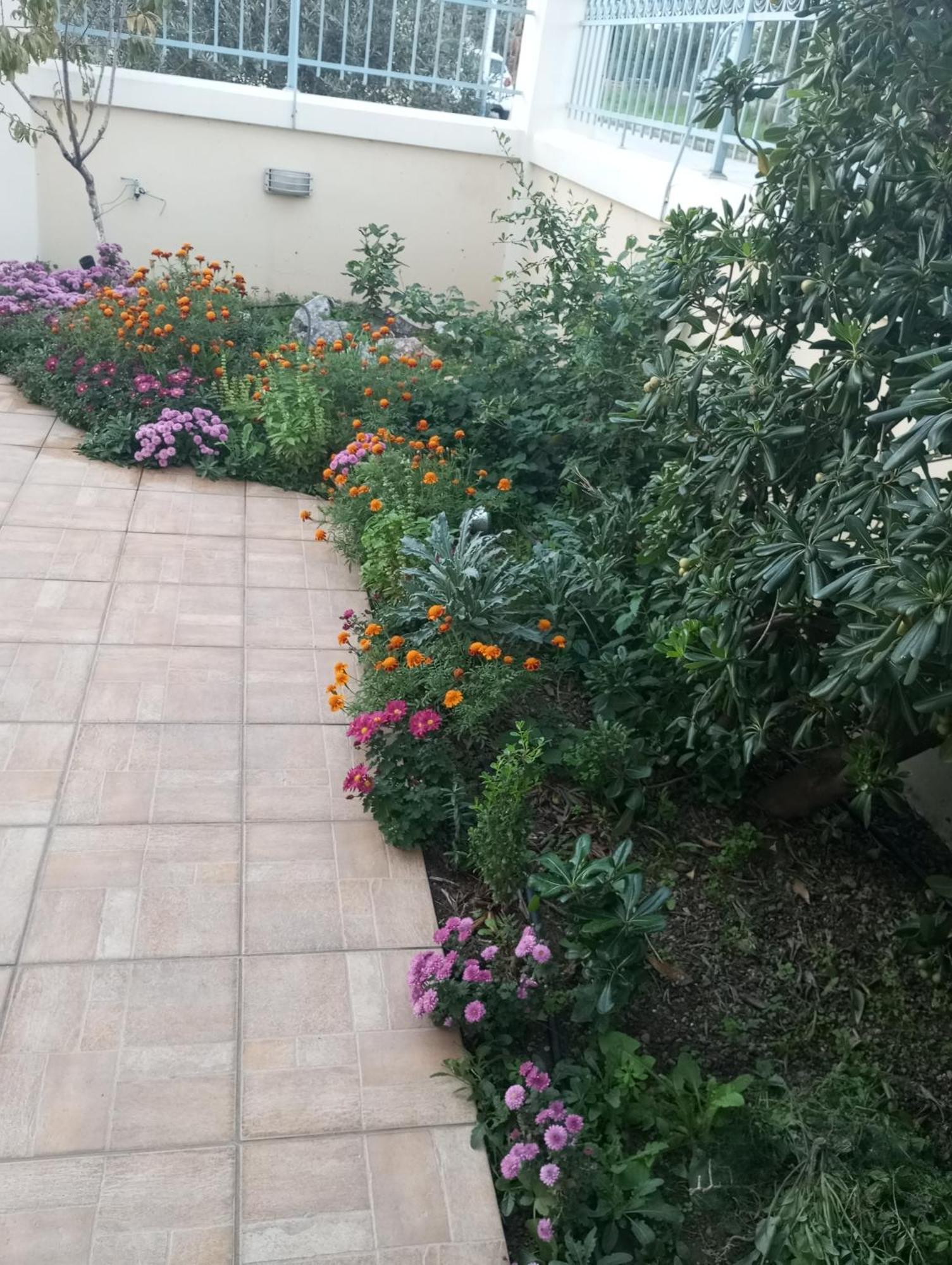 Dora'S Home With Garden Βόλος Εξωτερικό φωτογραφία